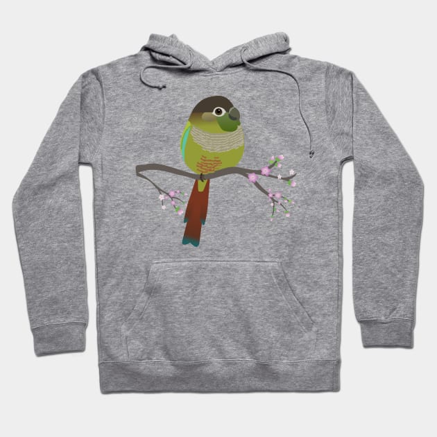 Cute egg shaped green cheek conure Hoodie by Bwiselizzy